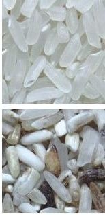 Máquina ótica do classificador da cor do arroz das rampas da câmera 12 do RGB para o moinho de arroz