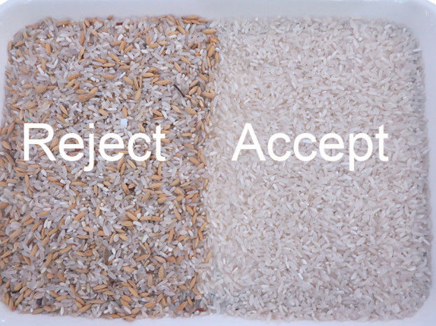 Máquina de classificação do arroz das rampas da elevada precisão 2 com o sensor do CCD ótico