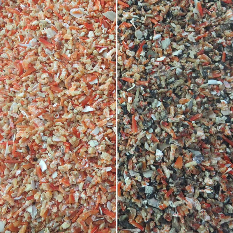 Classificação seca do camarão do RGB Nir Sensor Color Sorter For da eficiência elevada