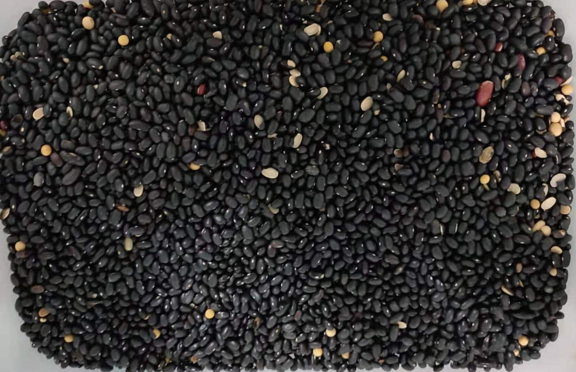Máquinas classificadoras de cores de preço de fábrica de lentes CCD industriais para dispositivo de vibração