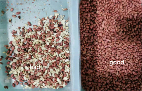 Classificador da cor do amendoim da máquina de classificação da cor do amendoim da maquinaria agrícola