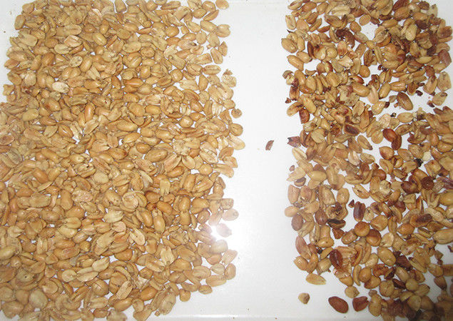 Classificador da cor do amendoim da máquina de classificação da cor do amendoim da maquinaria agrícola