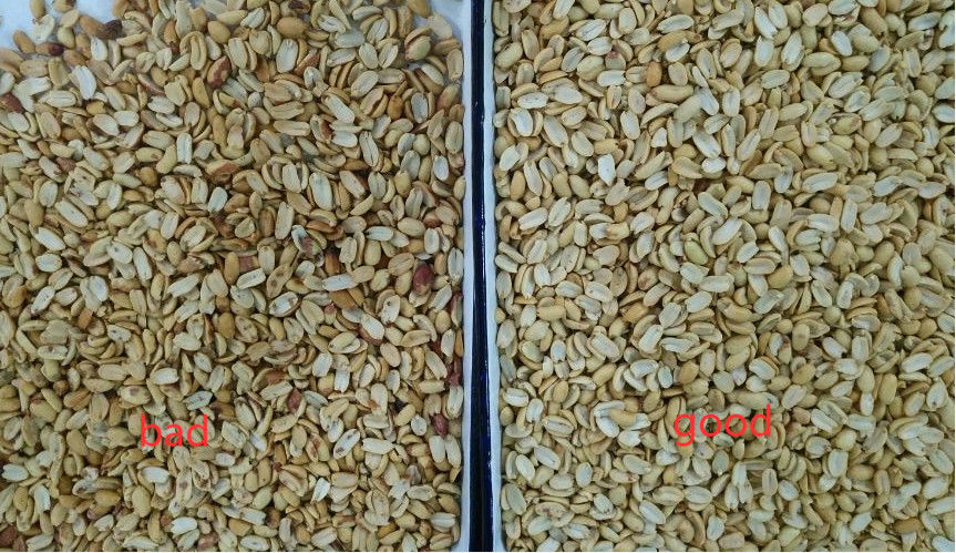 Classificador da cor do amendoim da máquina de classificação da cor do amendoim da maquinaria agrícola