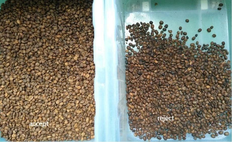 Wenyao 1 Chute 500kg/h Com alta potência CCD Color Separator Grelhado Grãos de Café Color Sorting Machine Grão de Grão Verde Color Sorter