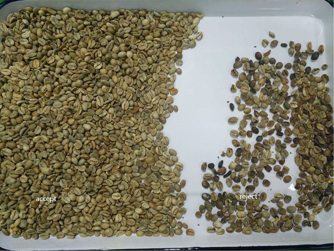 Wenyao 1 Chute 500kg/h Com alta potência CCD Color Separator Grelhado Grãos de Café Color Sorting Machine Grão de Grão Verde Color Sorter