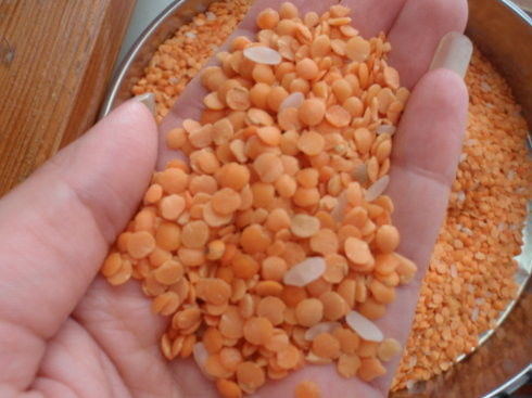 Classificador Dal Sorter Machine da cor da lentilha da máquina de classificação da cor da lentilha