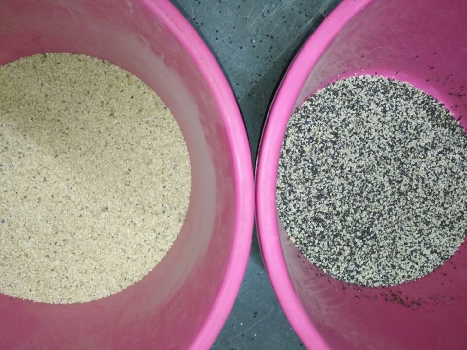 Classificador Dal Sorter Machine da cor da lentilha da máquina de classificação da cor da lentilha