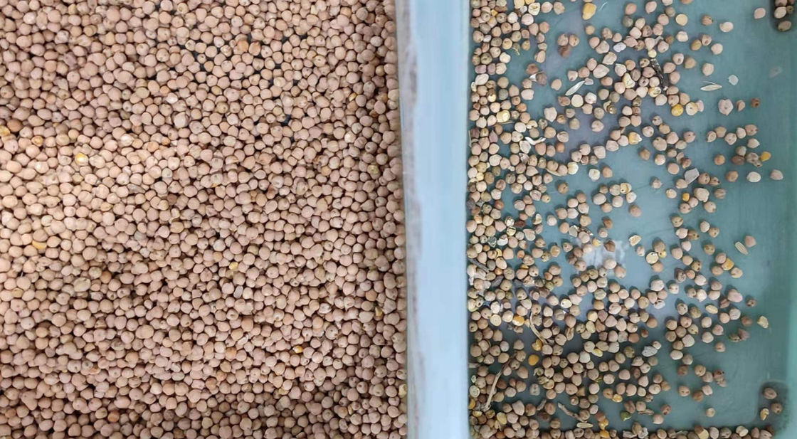 os feijões 800kg/H colorem o classificador com a câmera de alta resolução do CCD de 5400 pixéis