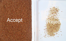 Máquina de classificação ótica da cor do arroz do CCD de 192 canais para o moinho de arroz