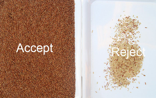 Máquina de classificação de Paddy Broken Glutinous Rice Color do classificador da cor do arroz de 5 Tons/H