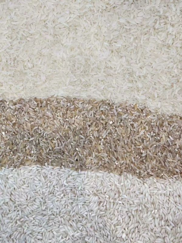 Máquina de classificação de Paddy Broken Glutinous Rice Color do classificador da cor do arroz de 5 Tons/H
