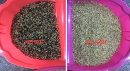 Classificador aferventado sensor da cor do arroz do CCD com captação da imagem latente de Toshiba HD