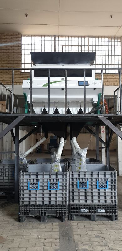 Máquina de classificação plástica da cor de 5400 pixéis para a reciclagem do cabo