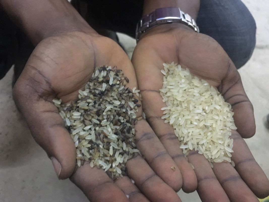 Classificador automático da cor do arroz do preço de mercado o mais atrasado para a planta de trituração do arroz