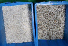 Classificador da cor de barite de quartzo do classificador da cor do minério com a capacidade 2 Tons/H