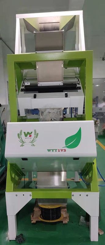 Máquina verde 200kg/H do classificador da cor do chá preto com a câmera do CCD do RGB