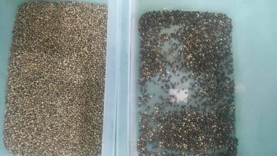 Ccd automático Multifunction do classificador da cor do arroz do sésamo do trigo do Quinoa do milho ótico