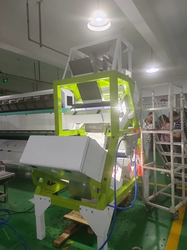 Máquina de WENYAO Flower Tea Color Sorter para a seleção amarela das varas