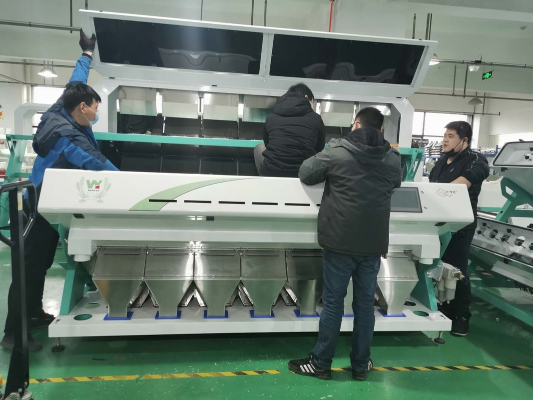 Máquina de classificação vegetal de 448 canais para linha de processamento Unpeeled do alho