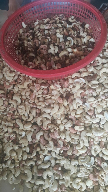 Máquina de classificação da cor de Mini Cashew Color Sorter Cashew com as 2 câmeras do RGB 32 canais
