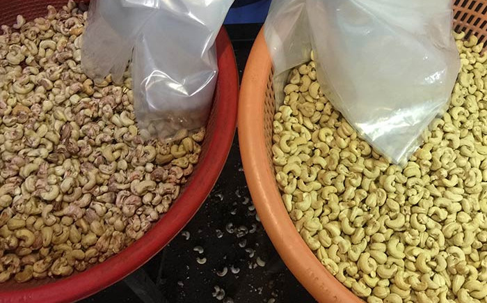 Máquina de classificação da cor de Mini Cashew Color Sorter Cashew com as 2 câmeras do RGB 32 canais