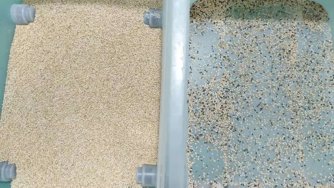 Ccd automático Multifunction do classificador da cor do arroz do sésamo do trigo do Quinoa do milho ótico