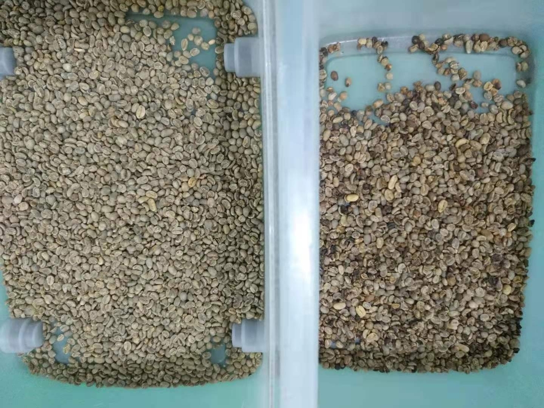 Café de computação automático Bean Color Sorter Mini 32 canais