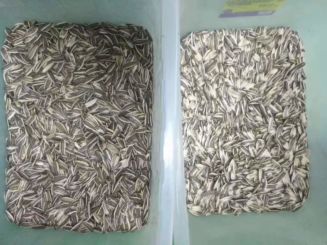 Ccd automático Multifunction do classificador da cor do arroz do sésamo do trigo do Quinoa do milho ótico