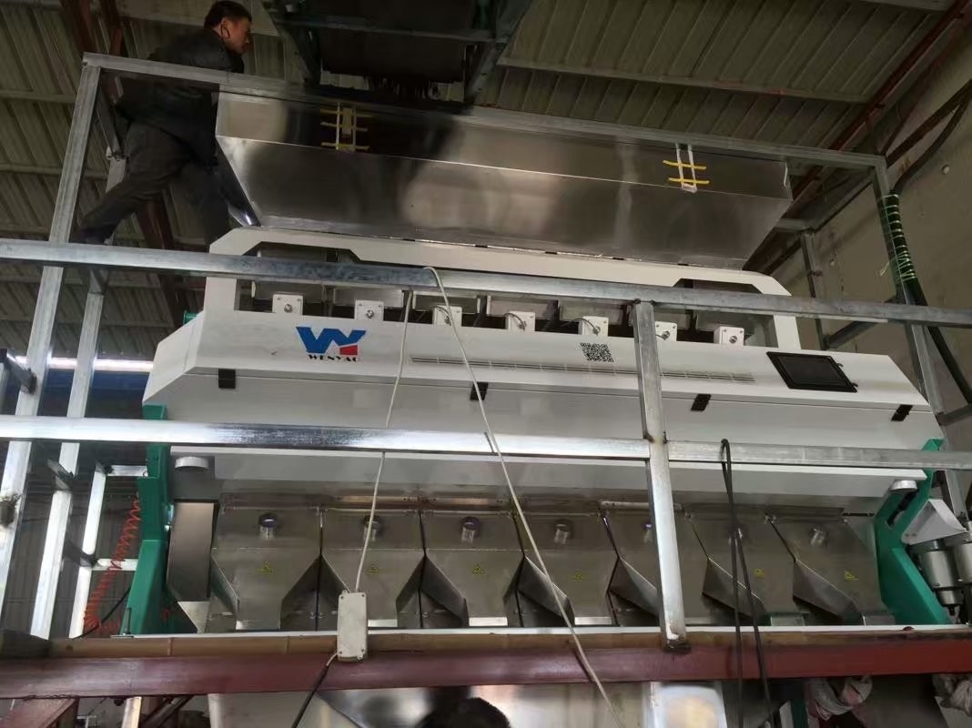 Máquina aferventada do classificador da cor do arroz com ejetor do metal