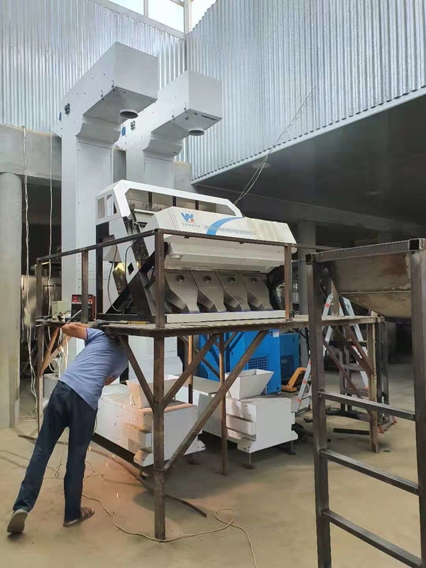 Serviço do controlo a distância de Bean Color Sorter With Wifi do café de quatro rampas