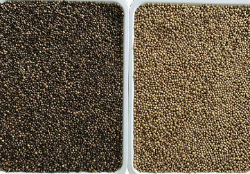 Ccd automático Multifunction do classificador da cor do arroz do sésamo do trigo do Quinoa do milho ótico
