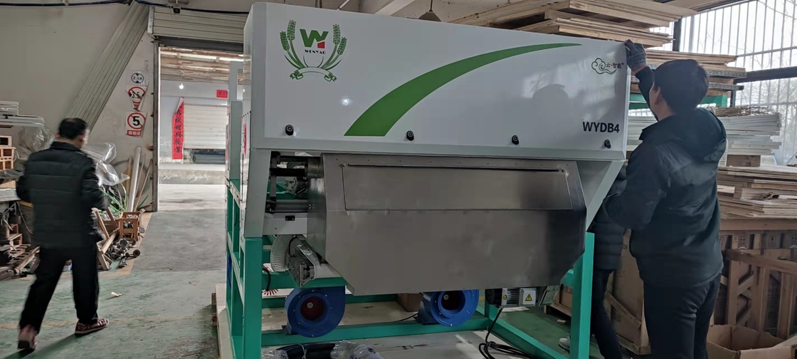 Correia de alta velocidade umas/duas do CCD camadas do classificador da cor para o cobre de vidro mineral Alu