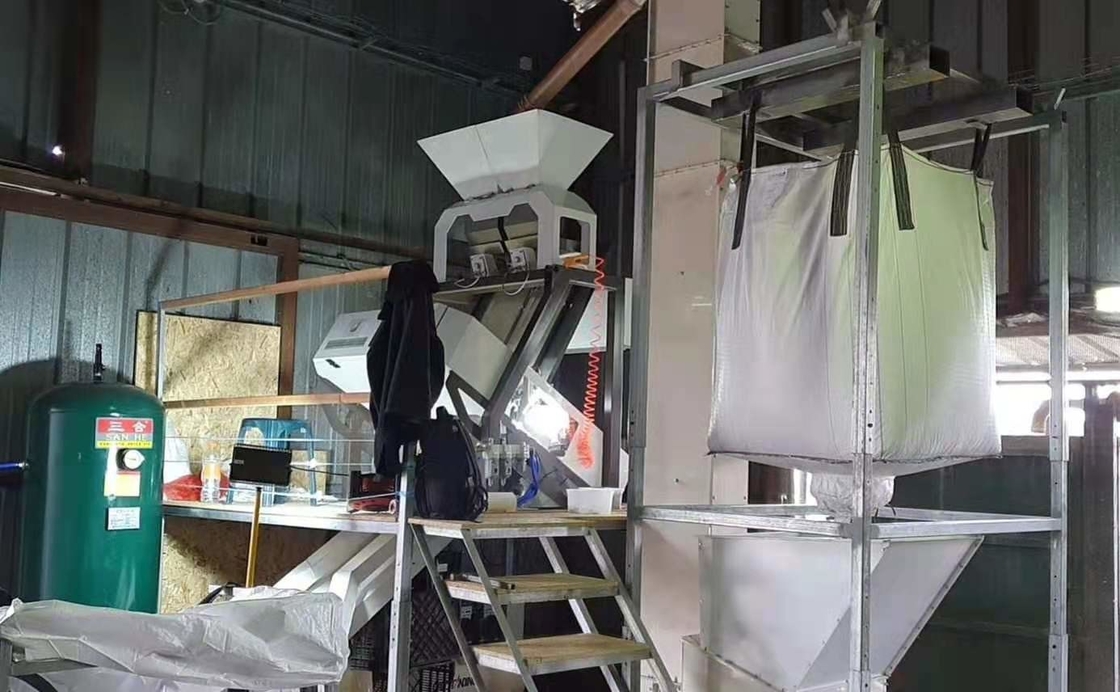 A porca de macadâmia semeia rampas de Bean Grain Color Sorting Machine 1 64 canais