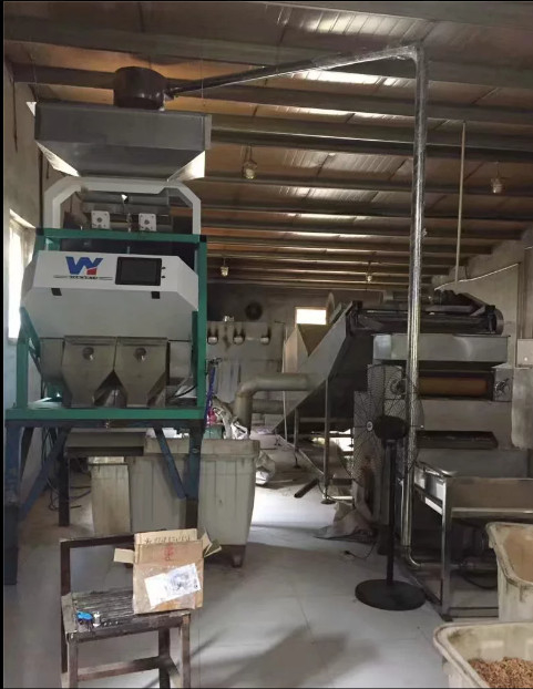 A porca de macadâmia semeia rampas de Bean Grain Color Sorting Machine 1 64 canais
