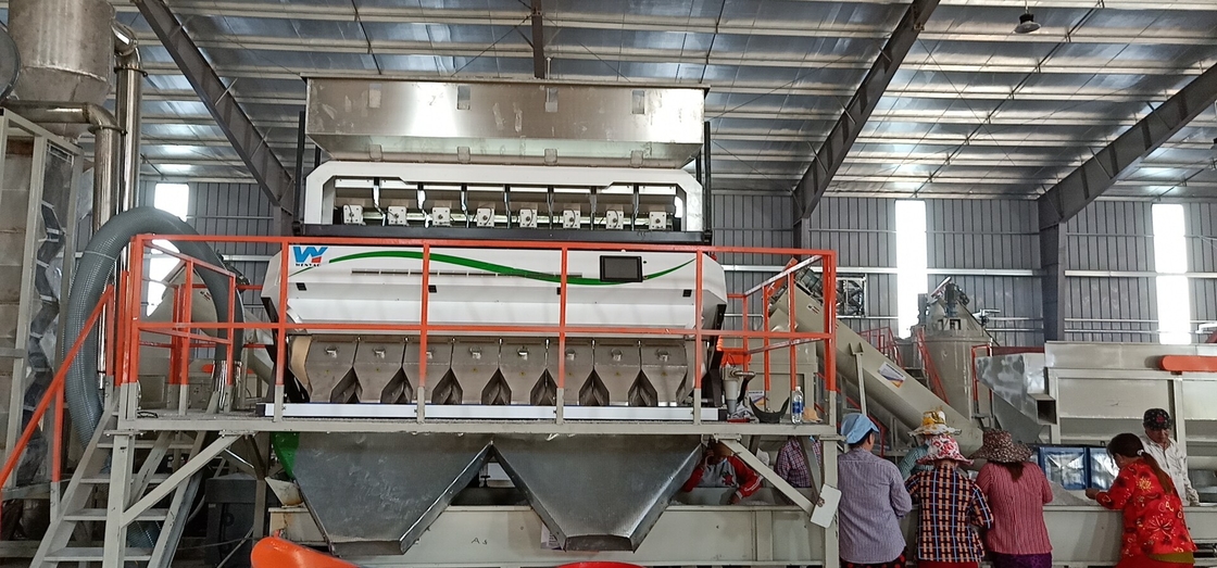 Taxa de transferência ótica da máquina de classificação 4000kg/H do trigo da câmera do CCD 320 canais