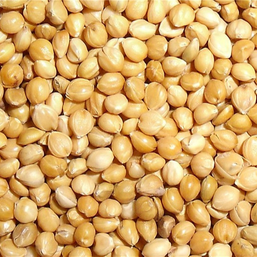 De alta capacidade Mini Millet Color Sorter Machine do CCD para a planta do moinho de arroz