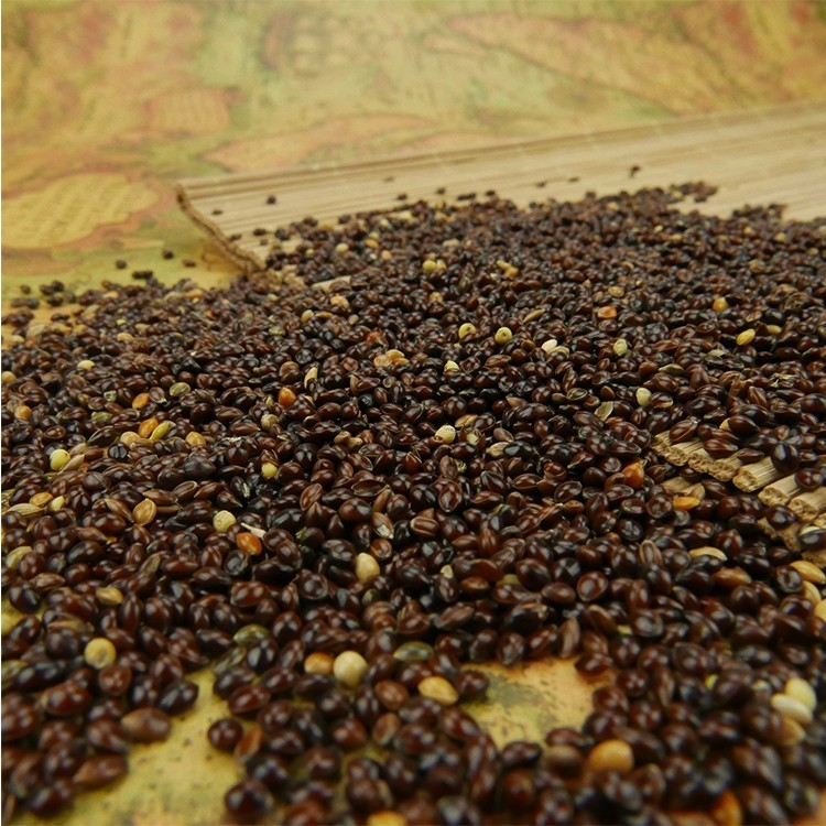 Café automático Bean Color Sorter Machine For que classifica feijões