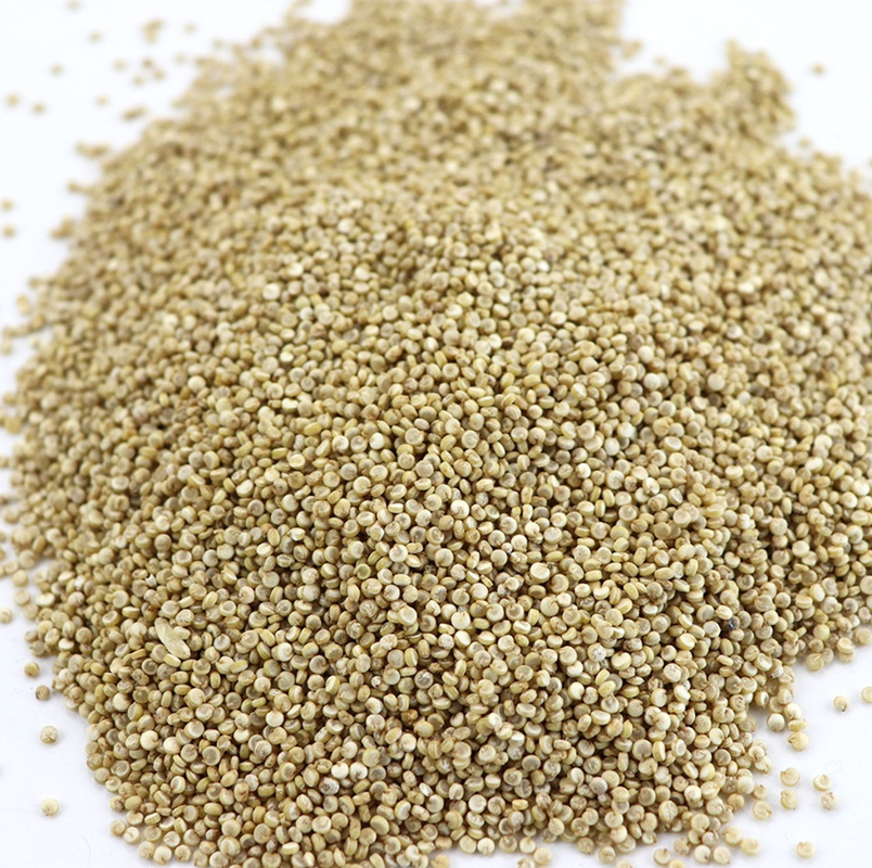 Auto que alimenta o classificador inteligente 10t/h da cor do trigo do Quinoa