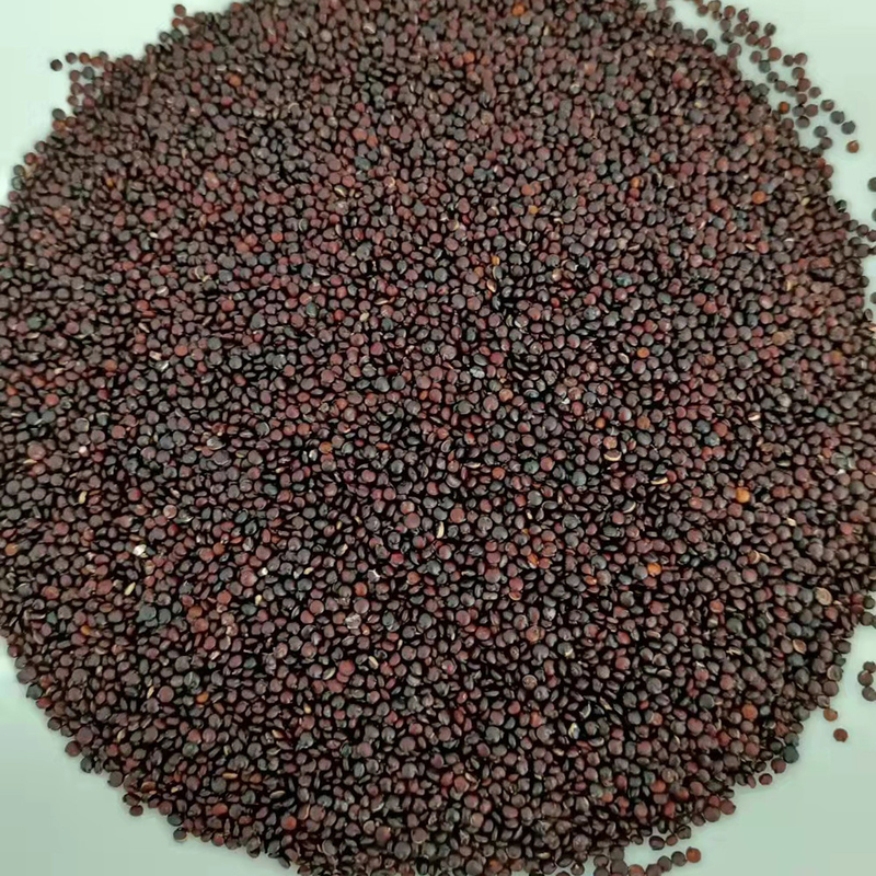 Auto que alimenta o classificador inteligente 10t/h da cor do trigo do Quinoa