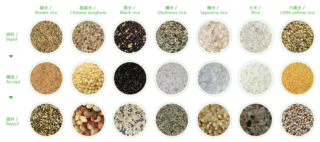 Máquina de classificação da cor do cereal da noz do sésamo do arroz do CCD de WENYAO Color Sorter Optical