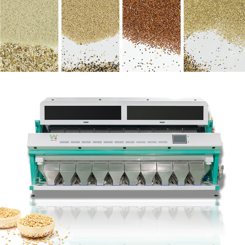 Máquina do classificador da cor da grão do trigo do de alta capacidade da venda direta baixa Sumption da fábrica