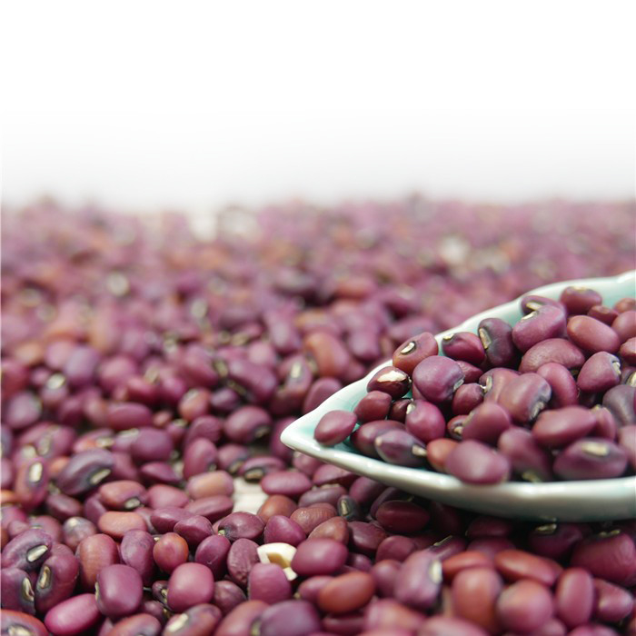 Máquina 1 Ton Per Day de Mini Red Beans Color Sorter da venda por atacado da fábrica de China