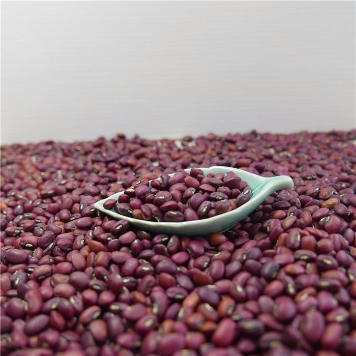Máquina 1 Ton Per Day de Mini Red Beans Color Sorter da venda por atacado da fábrica de China