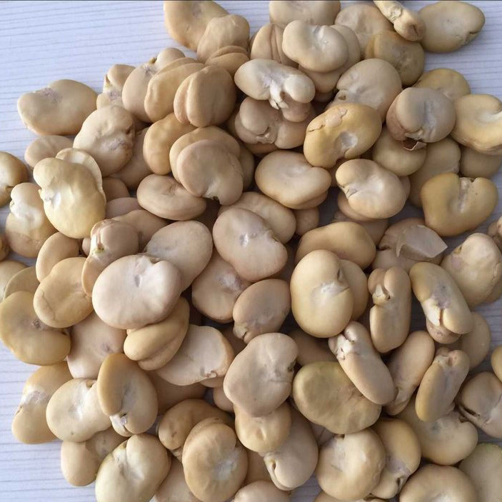 2022 personalizou favas da qualidade superior colorem a maquinaria de classificação do classificador com 2 rampas