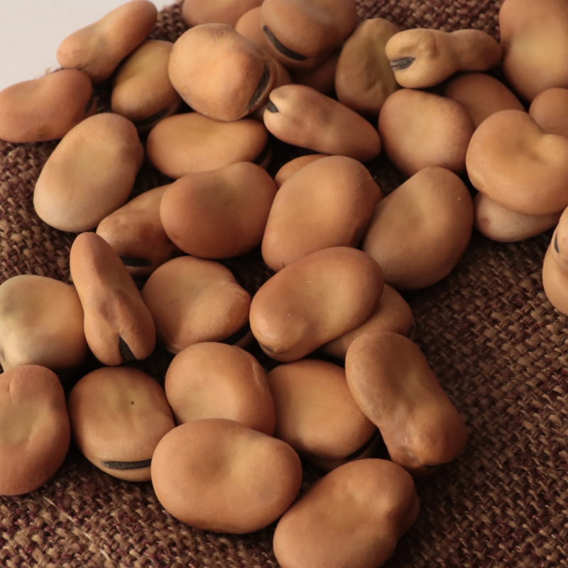2022 personalizou favas da qualidade superior colorem a maquinaria de classificação do classificador com 2 rampas