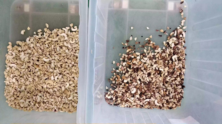 Melhor CCD inteligente o mais barato chinês de Olive Peanut Color Sorter da pimenta que classifica a máquina de classificação