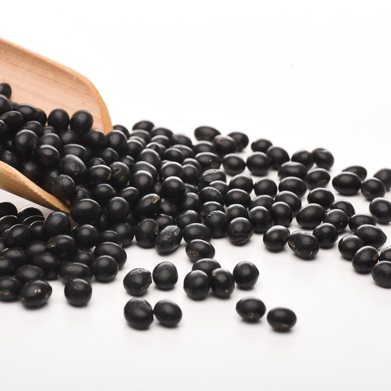 O feijão vermelho preto do baixo consumo de aço inoxidável colore a planta da terra da máquina do classificador
