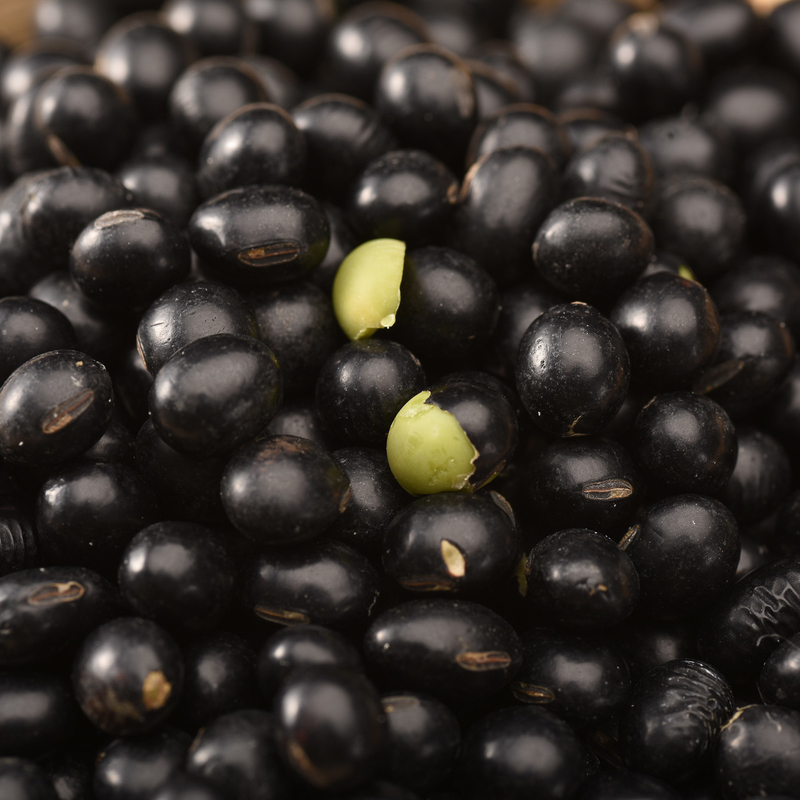 O feijão vermelho preto do baixo consumo de aço inoxidável colore a planta da terra da máquina do classificador