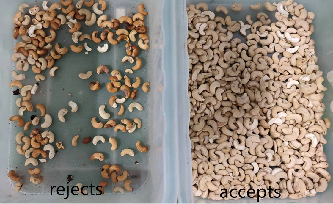 Classificador da cor da porca do AI da câmera do CCD de Wenyao Nut Sorting Processing Machine