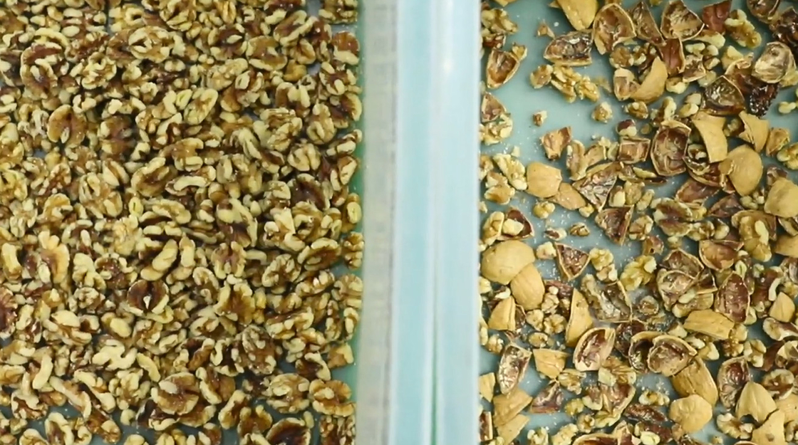 Classificador da cor da porca do AI da câmera do CCD de Wenyao Nut Sorting Processing Machine